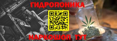 PSILOCYBIN Северобайкальск