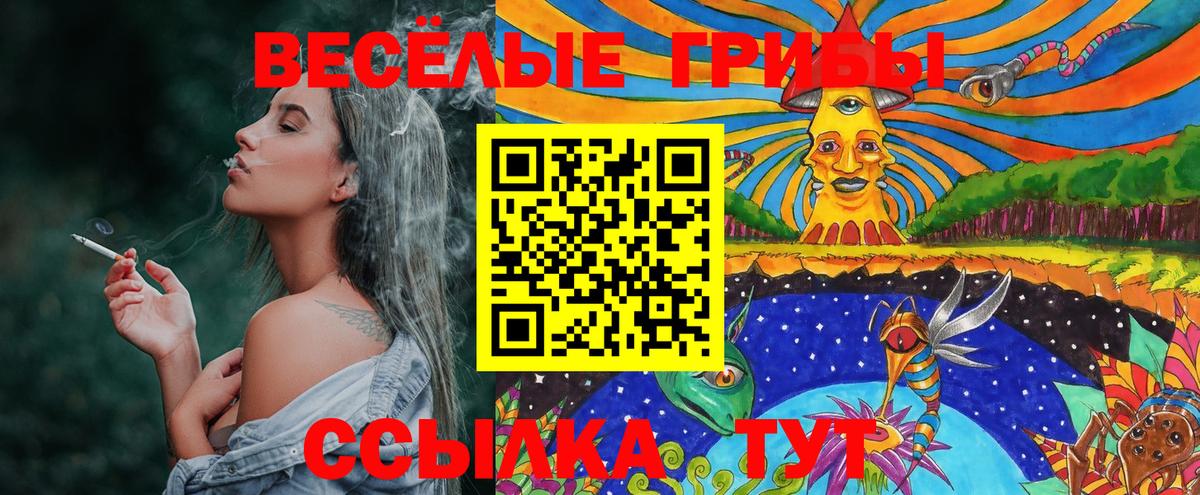 Псилоцибиновые грибы GOLDEN TEACHER  Вход с VPN  Галлюциногенные грибы ЛСД  хочу   Азнакаево 